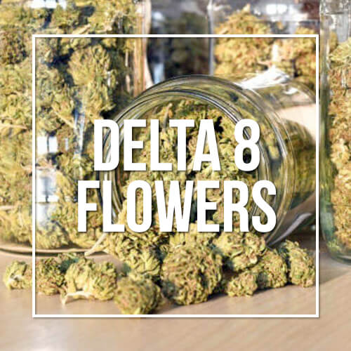 Delta 8 Flowers Artisan Vapor & CBD l Vape Shop l Smoke Shop Delta