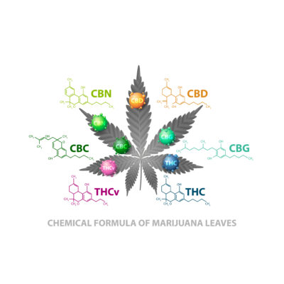THC-A vs THC